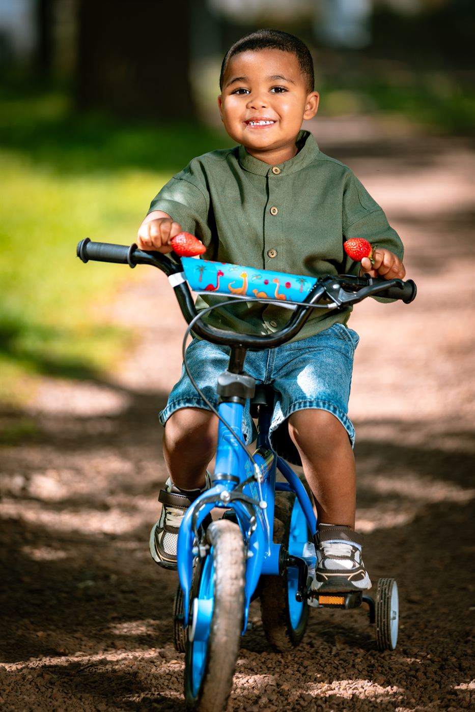 Small boy riding a blue bicycle down a sunlit path